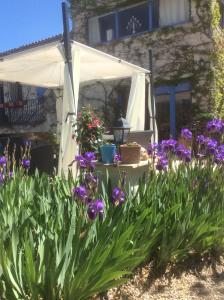 een tuin met paarse bloemen en een witte luifel bij B&B Maison Brora in Lorgues