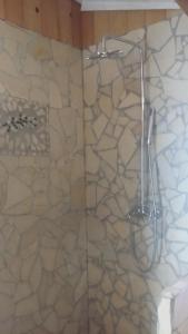 a shower with a shower head in a bathroom at Le clos des olivettes in Sainte-Croix-de-Quintillargues +24 photos