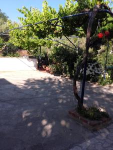 Fotografia z galérie ubytovania Jolanda v Mali Lošinj
