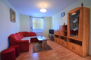TV a/nebo společenská místnost v ubytování Apartments Sabljak