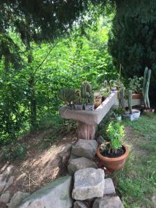 Ảnh trong thư viện ảnh của Gîte Le Vieux Ruisseau Sauna et Massages ở Lapoutroie