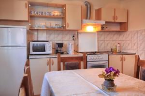 Kuchyň nebo kuchyňský kout v ubytování Apartments Sabljak