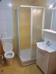 a bathroom with a shower and a toilet and a sink at Apartment Štinjan Kaščuni in Pula