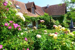 einen Garten mit Blumen vor einem Haus in der Unterkunft Altes Gehöft am Lormanberg in Kirchberg an der Raab