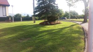 a grassy yard with a bush in the middle of a park at Apartamento Loiu in Loiu