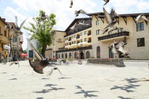 a flock of birds flying over a city street at Hotel Carmen in Predeal +101 photos