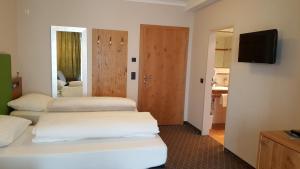 TV a/nebo společenská místnost v ubytování Hotel Mozart