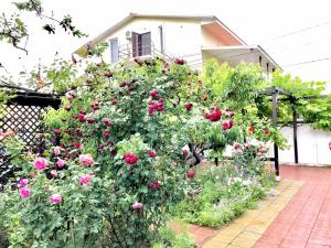 Zahrada ubytování Akvitaniya Mini-Hotel