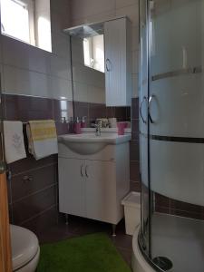 uma casa de banho com um lavatório, um WC e um espelho. em Apartman Ante em Seget Vranjica