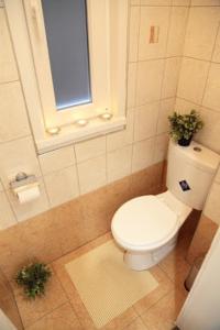 a bathroom with a toilet with two plants on it at Brand New Apartment Budapest in Budapest