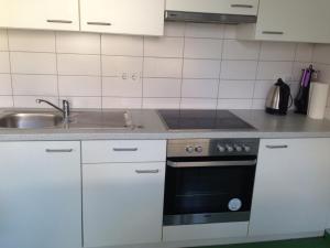 a kitchen with a sink and a stove top oven at Wiesbaden Apartment in Wiesbaden