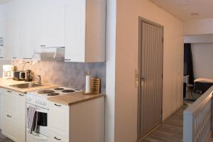 Fotografie z fotogalerie ubytování Guesthouse Borealis Apartments v destinaci Rovaniemi + 16 fotografií