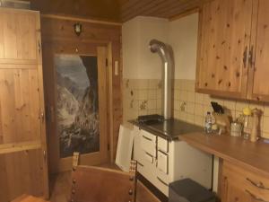 una cucina con piano cottura e forno in camera di Steinwandhütte a Stummerberg