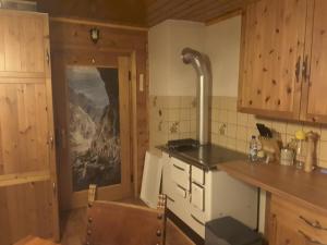 Kuchyň nebo kuchyňský kout v ubytování Steinwandhütte