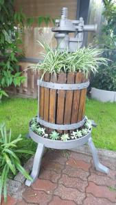 Zahrada ubytování Guest house Il Giardino in Città