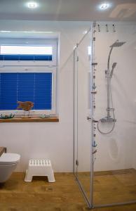 ein Bad mit einer Dusche und einem Vogel im Fenster in der Unterkunft Family Homes - Apartament Blue Fin in Władysławowo