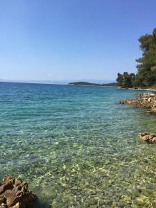 a beach with clear blue water and rocks at Apartments Eva in Malinska