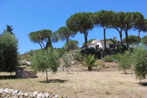 Gallery image of Podere L'Isolella in Lacona +60 photos