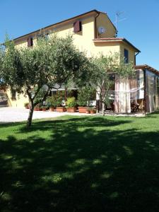 a house with a tree in front of a yard at Le Travi in Sarzana