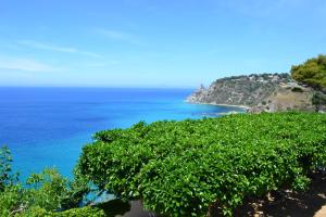 Gallery image of Villaggio Calispera in Capo Vaticano