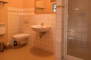 ein Bad mit einem Waschbecken, einem WC und einer Dusche in der Unterkunft Apartment Nonnendorf in Rubenow
