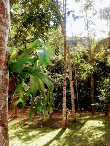 En have udenfor Pousada Ouro do Vintem