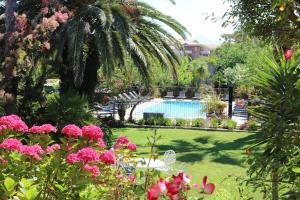 a garden with a swimming pool and pink flowers at Résidence Le Home in Calvi