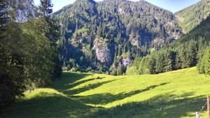 Fotografie z fotogalerie ubytování Appartements Stadt Wien v destinaci Bad Hofgastein