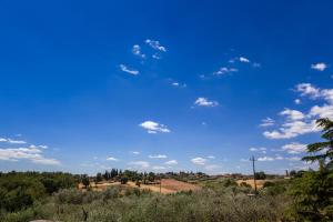 a blue sky with clouds in a field at Agriturismo Quercetelli in Castiglione del Lago