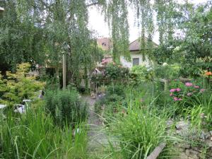 Garden sa labas ng BnB Erlach