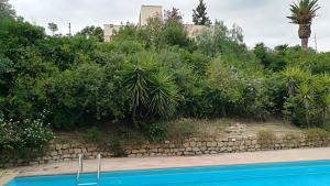 una pared de retención con plantas junto a una piscina en casa vacanze sara, en Caltanissetta