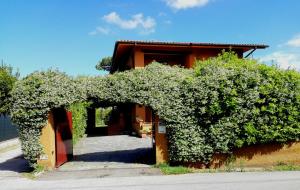 a building with a bunch of ivy growing on it at Il Gelsomino in Forte dei Marmi