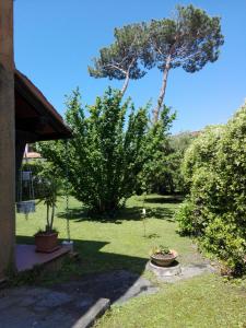 Zdjęcie z galerii obiektu Il Gelsomino w mieście Forte dei Marmi
