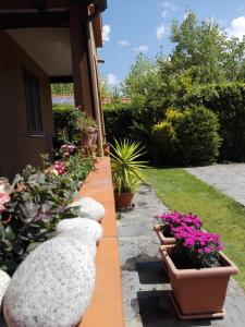 Zdjęcie z galerii obiektu Il Gelsomino w mieście Forte dei Marmi