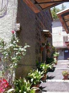 ein Gebäude mit Topfpflanzen nebeneinander in der Unterkunft Casa del Ciliegio in Radicofani