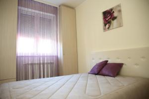 ein Schlafzimmer mit einem großen Bett und einem Fenster in der Unterkunft Apartments Lukic in Vrnjačka Banja