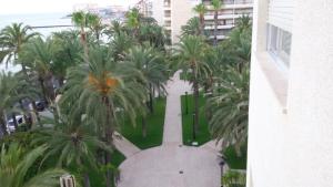 Fotografia z galérie ubytovania Palmeral de Torrevieja v destinácii Torrevieja
