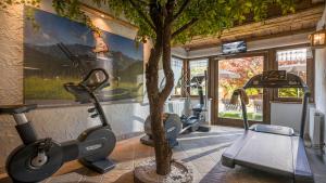Fitness centrum a/nebo fitness zařízení v ubytování Garni Das SONNALP