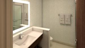W łazience znajduje się umywalka, toaleta i lustro. w obiekcie Holiday Inn Express & Suites - St. Petersburg - Madeira Beach, an IHG Hotel w mieście Saint Petersburg
