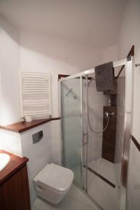 Un baño con ducha, inodoro y lavabo. en My place in Poznan, en Poznan 55 fotos más