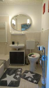 a bathroom with a toilet and a sink and a mirror at Bungalow in strandnähe in Mönkebude