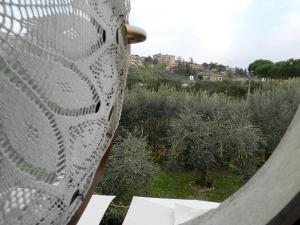 Zahrada ubytování Hotel Ristorante Piccolo Chianti