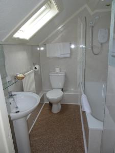 a bathroom with a toilet and a sink and a shower at Lutwidge Arms in Holmrook
