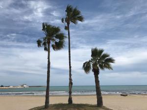two palm trees on a beach with the ocean at Apartamento a 100m de la playa in Torrevieja