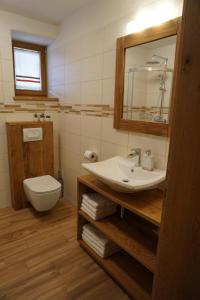 a bathroom with a sink and a toilet and a mirror at ecoHouse FURLAN - Apartment PINJA in Kobarid