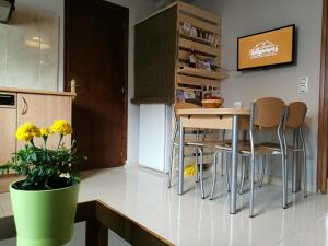 Una cocina o zona de cocina en Apartaments Els Temporers