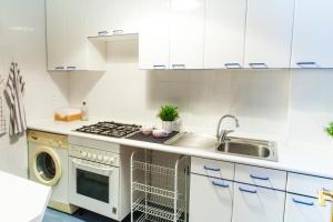 eine weiße Küche mit einer Spüle und einem Geschirrspüler in der Unterkunft Segovia in Madrid