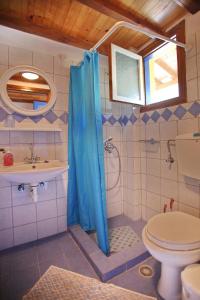 a bathroom with a shower and a toilet and a sink at Alexandra Sofia in Stafylos