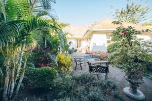 Zahrada ubytování Santorini Guesthouse