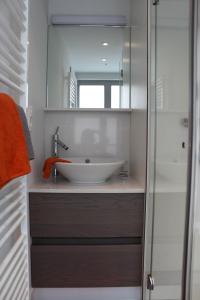 a bathroom with a sink and a mirror at Drabstraat 2 Apartment in Ghent